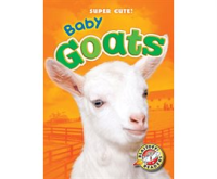 Baby Goats by Schuetz, Kari